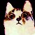 :iconcrazy4bb: