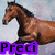 :iconcrazy4horses57: