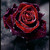 :iconcrazybiggirllove: