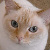 :iconcrazyboo: