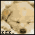 :iconcrazychea: