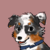 :iconcrazydogmk: