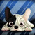 :iconcrazygirl1989: