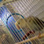:iconcrazygreenartist: