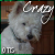 :iconcrazyhorse571: