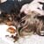 crazyinsomniac :iconcrazyinsomniac: