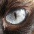 :iconcrazyjay58: