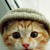 :iconcrazykat17: