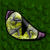 :iconcrazykid2916: