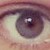 :iconcrazykid9219: