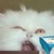 :iconcrazykisuke: