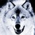 :iconcrazyleggera: