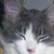 :iconcrazylilone: