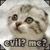 :iconcrazymog: