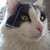 :iconcrazymushroomlives: