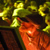 :iconcrazyredbeard: