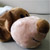 :iconcrazyromeo: