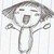 :iconcrazyseaturtle: