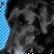 :iconcrazysprinkleddonut: