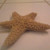 :iconcrazystarfishlover: