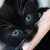 :iconcrazyweirdkitty: