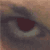 :iconCrazyWingo: