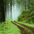 crazywoman78 :iconcrazywoman78: