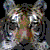 :iconcreagen: