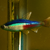 :iconcreakydoor: