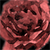 :iconcreatethejoy: