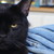 :iconcreation19: