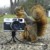 :iconcreative-deviant: