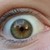 :iconcreativecamera: