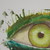 :iconcreativechemistry: