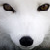 :iconcreativedwr: