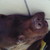 :iconcreativegirl00: