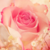 :iconcreativemi: