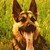 :iconcreature1: