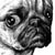 :iconcreepingman:
