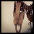 :iconcreepy-elevator: