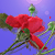 :iconcreeworld: