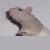 :iconcrescentluna: