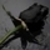:iconcrestfallen-dreamer:
