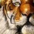 :iconcrick79: