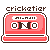 :iconcricketier: