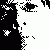:iconcricketmusik: