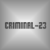 :iconcriminal-23: