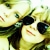 :iconcrimson-ash: