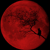 :iconcrimson-moon-09: