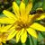 :iconcrimson-stains: